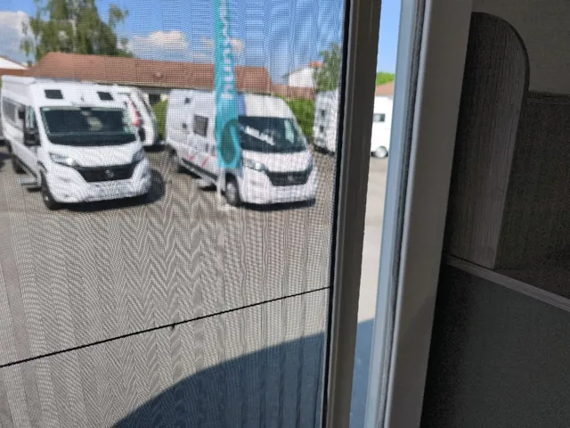 -6