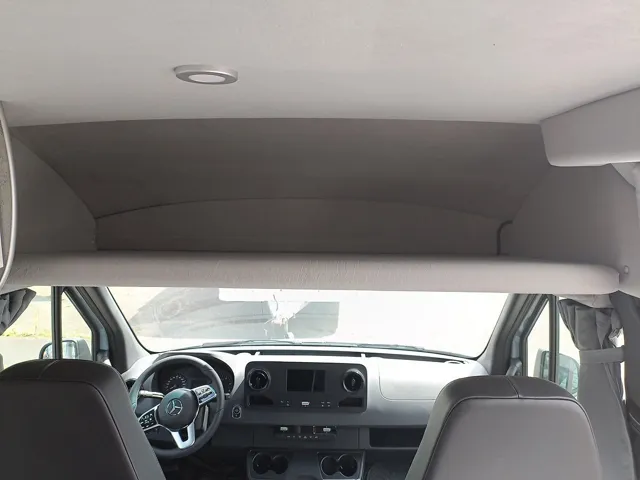 -19