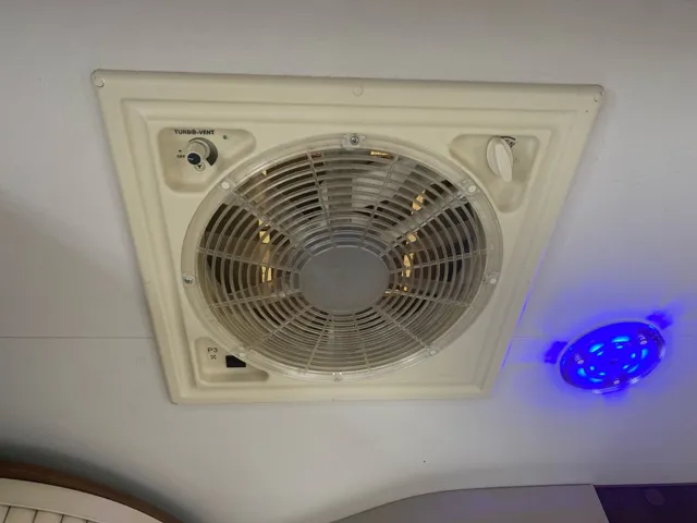 -19