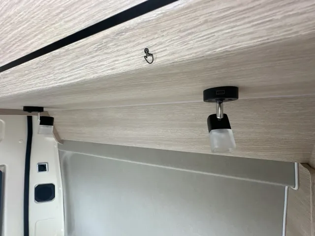 -19